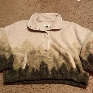 American Eagle Outfitte Forest Snap Fleece